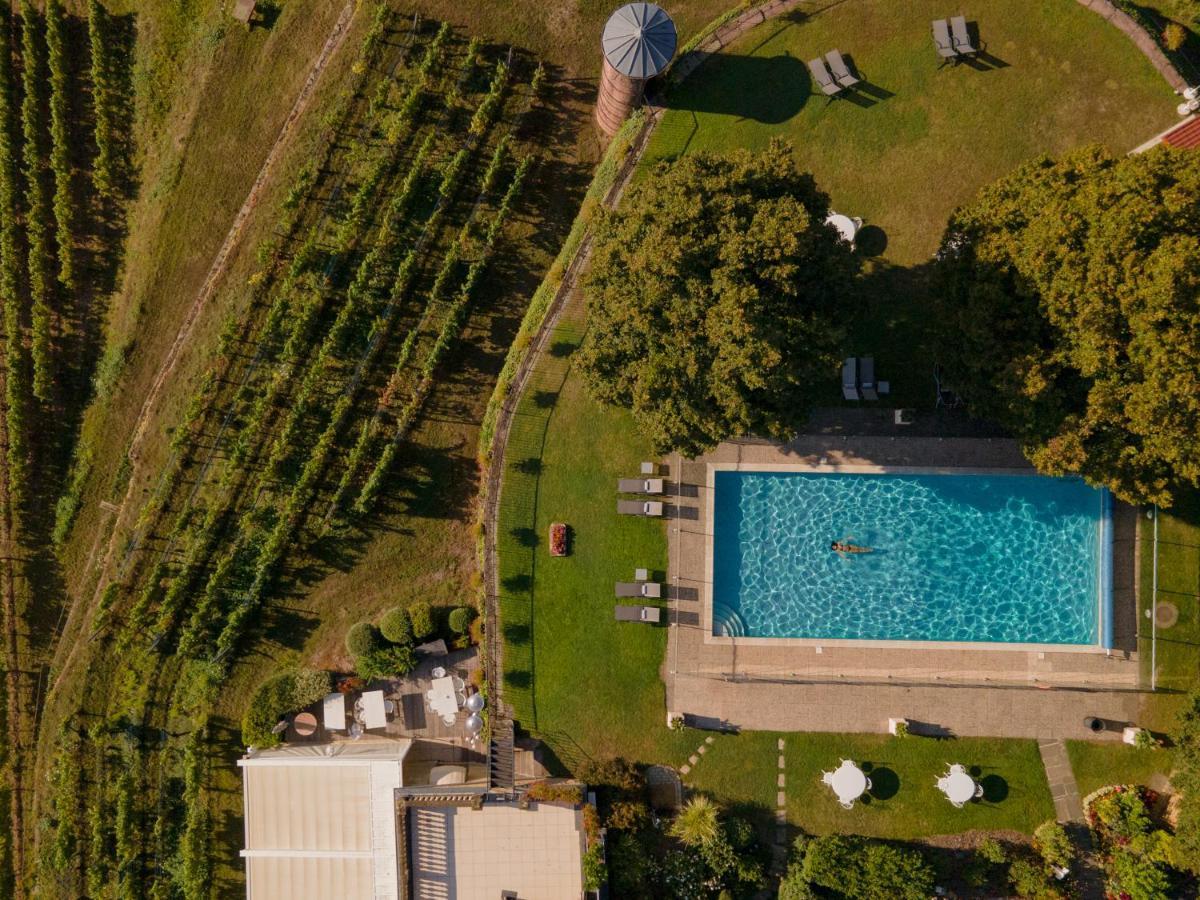 Chateau D'Isenbourg & Spa Rouffach Eksteriør billede
