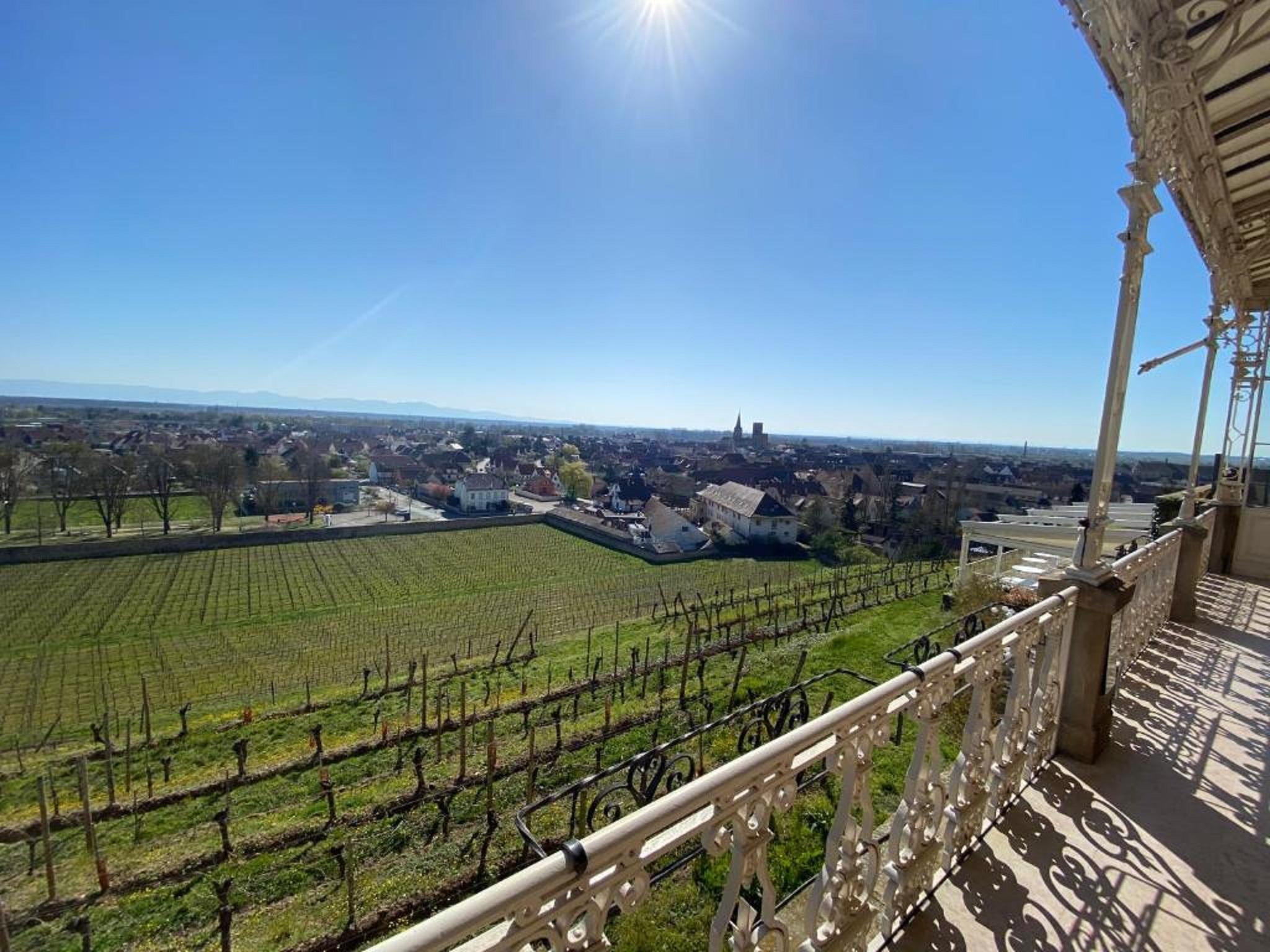 Chateau D'Isenbourg & Spa Rouffach Eksteriør billede