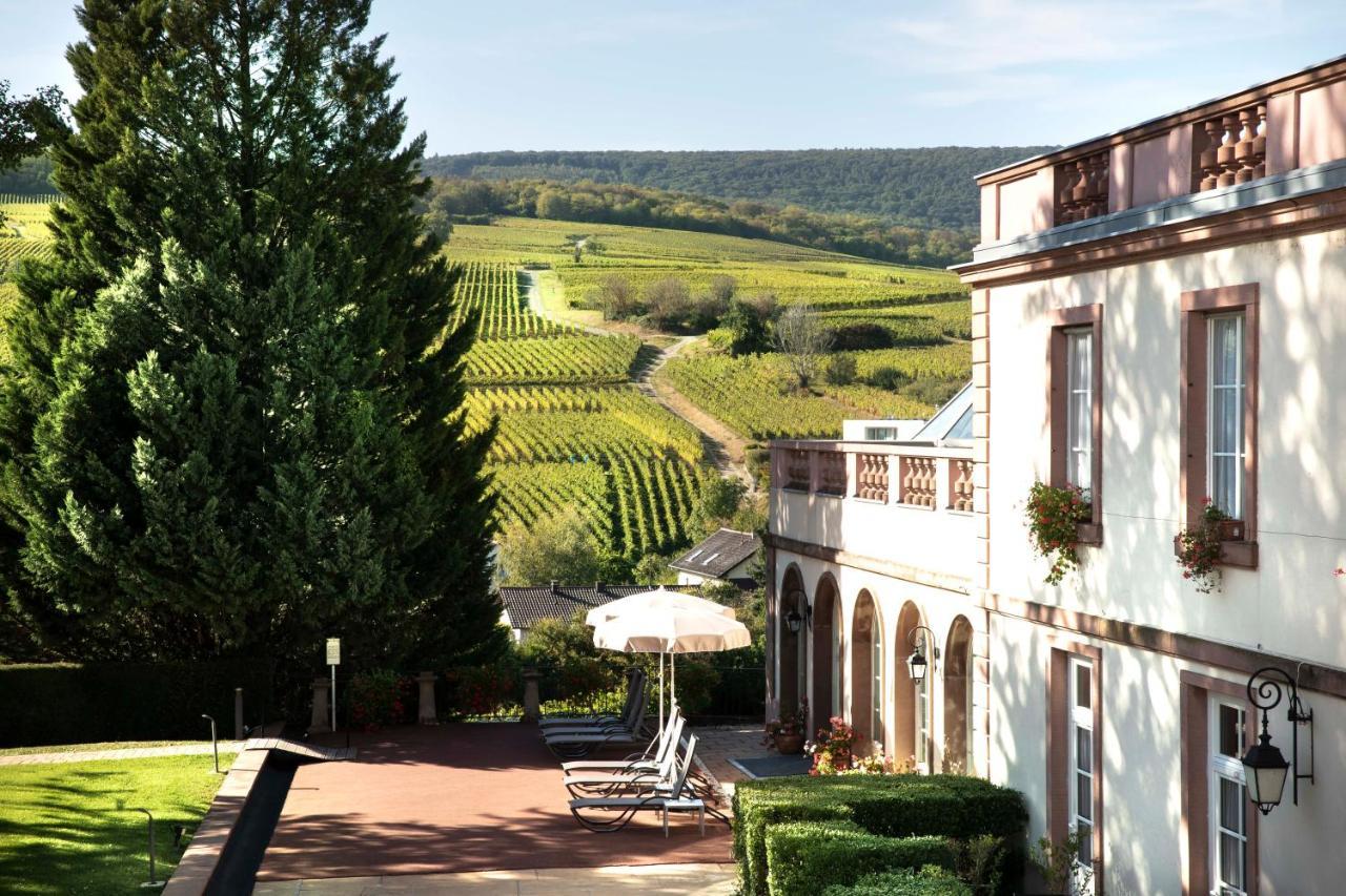 Chateau D'Isenbourg & Spa Rouffach Eksteriør billede